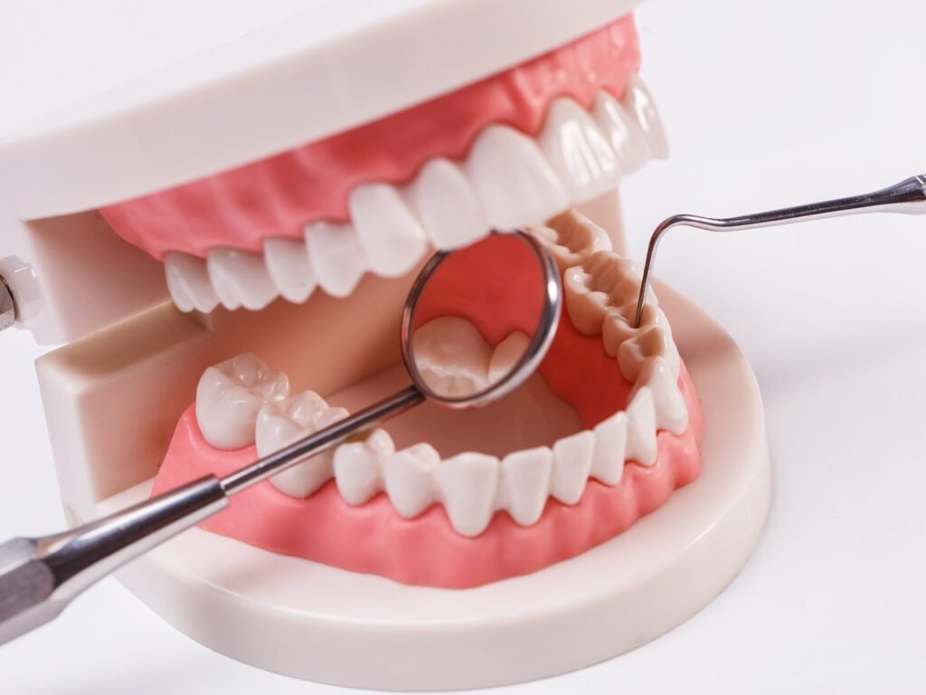 A close-up of a dental model with teeth and gums, featuring dental tools (mirror and scaler) being used for inspection and cleaning.